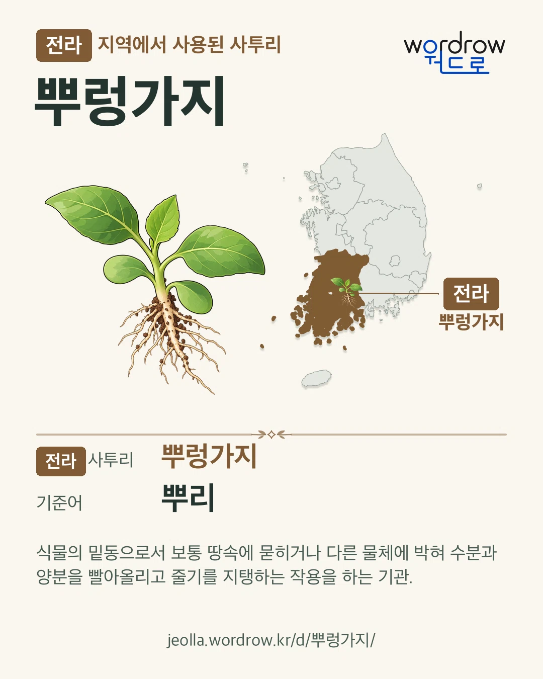 전라 지역에서 사용된 사투리 ‘뿌렁가지’. 기준어: 뿌리. 기록 지역을 표시한 카툰 삽화와 지도 카드.