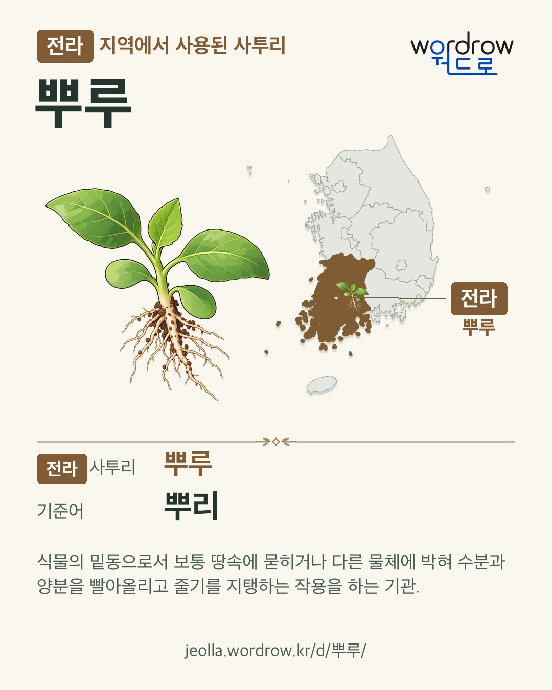 전라 지역에서 사용된 사투리 ‘뿌루’. 기준어: 뿌리. 기록 지역을 표시한 카툰 삽화와 지도 카드.