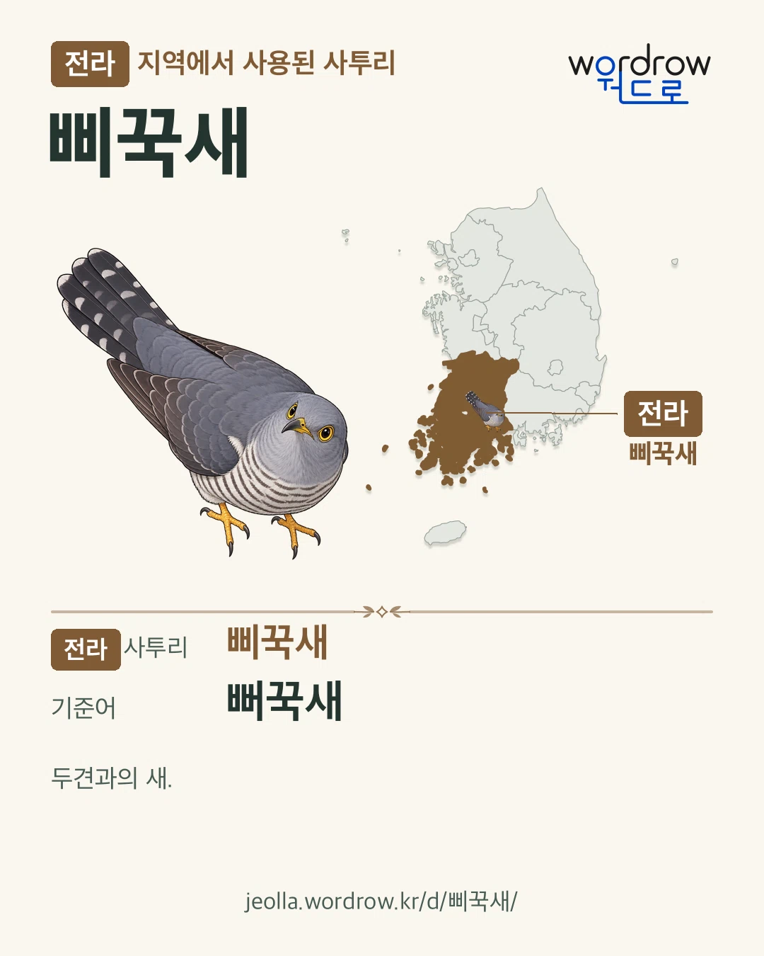 전라 지역에서 사용된 사투리 ‘삐꾹새’. 기준어: 뻐꾹새. 기록 지역을 표시한 카툰 삽화와 지도 카드.